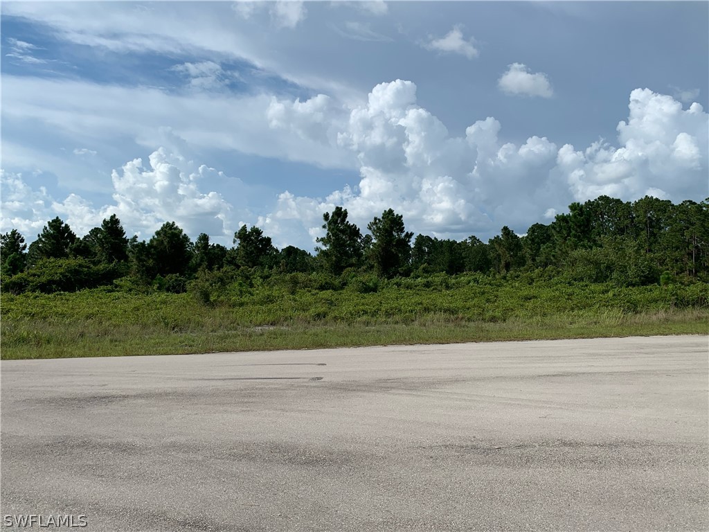Access Undetermined Lehigh Acres, FL 33974 - Photo 2 of 10 a view of a yard and entertaining space
