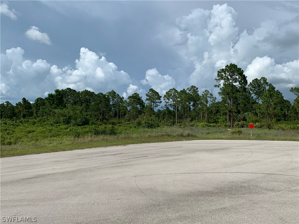 Access Undetermined Lehigh Acres, FL 33974 - Photo 3 of 10 a view of a golf course with trees