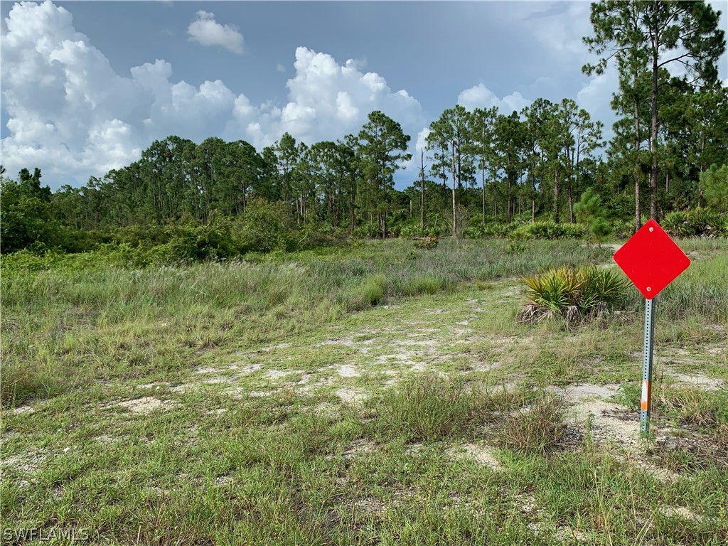 Access Undetermined Lehigh Acres, FL 33974 - Photo 4 of 10 a view of a garden