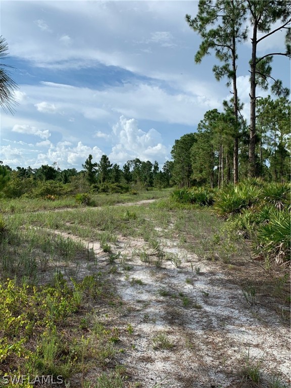 Access Undetermined Lehigh Acres, FL 33974 - Photo 6 of 10 a view of a field with plants and trees