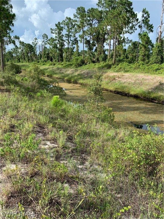 Access Undetermined Lehigh Acres, FL 33974 - Photo 7 of 10 a view of a grassy field with trees