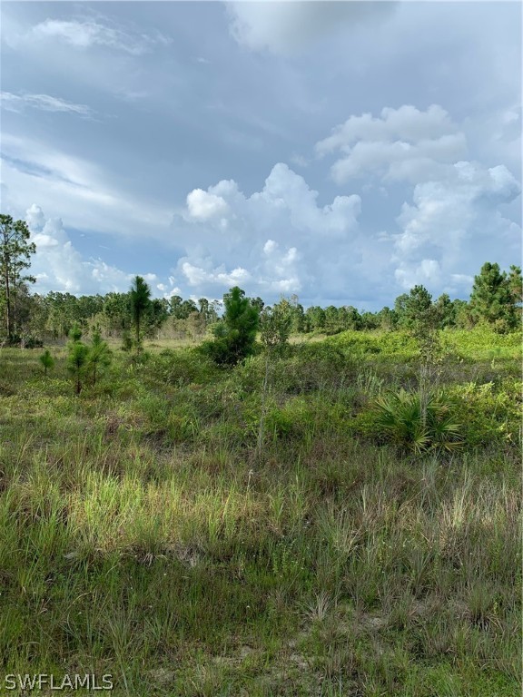 Access Undetermined Lehigh Acres, FL 33974 - Photo 9 of 10 a view of a garden