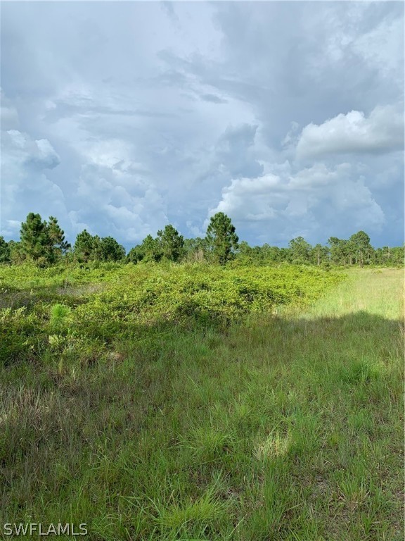 Access Undetermined Lehigh Acres, FL 33974 - Photo 10 of 10 a front view of a house with a garden