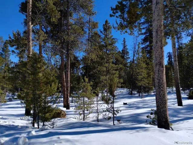 a view of pathway along with trees