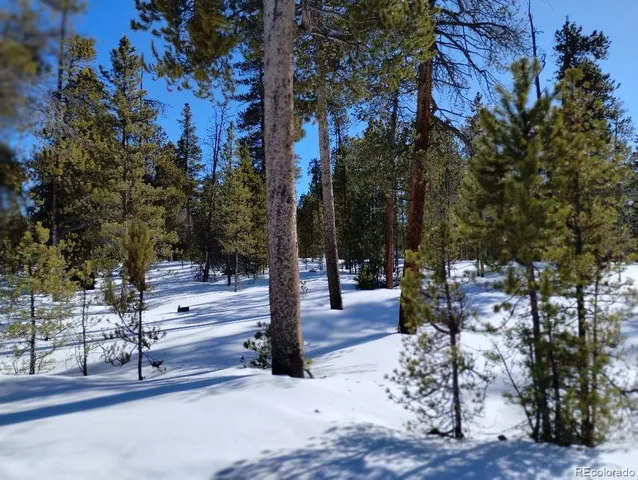 a view of pathway along with trees