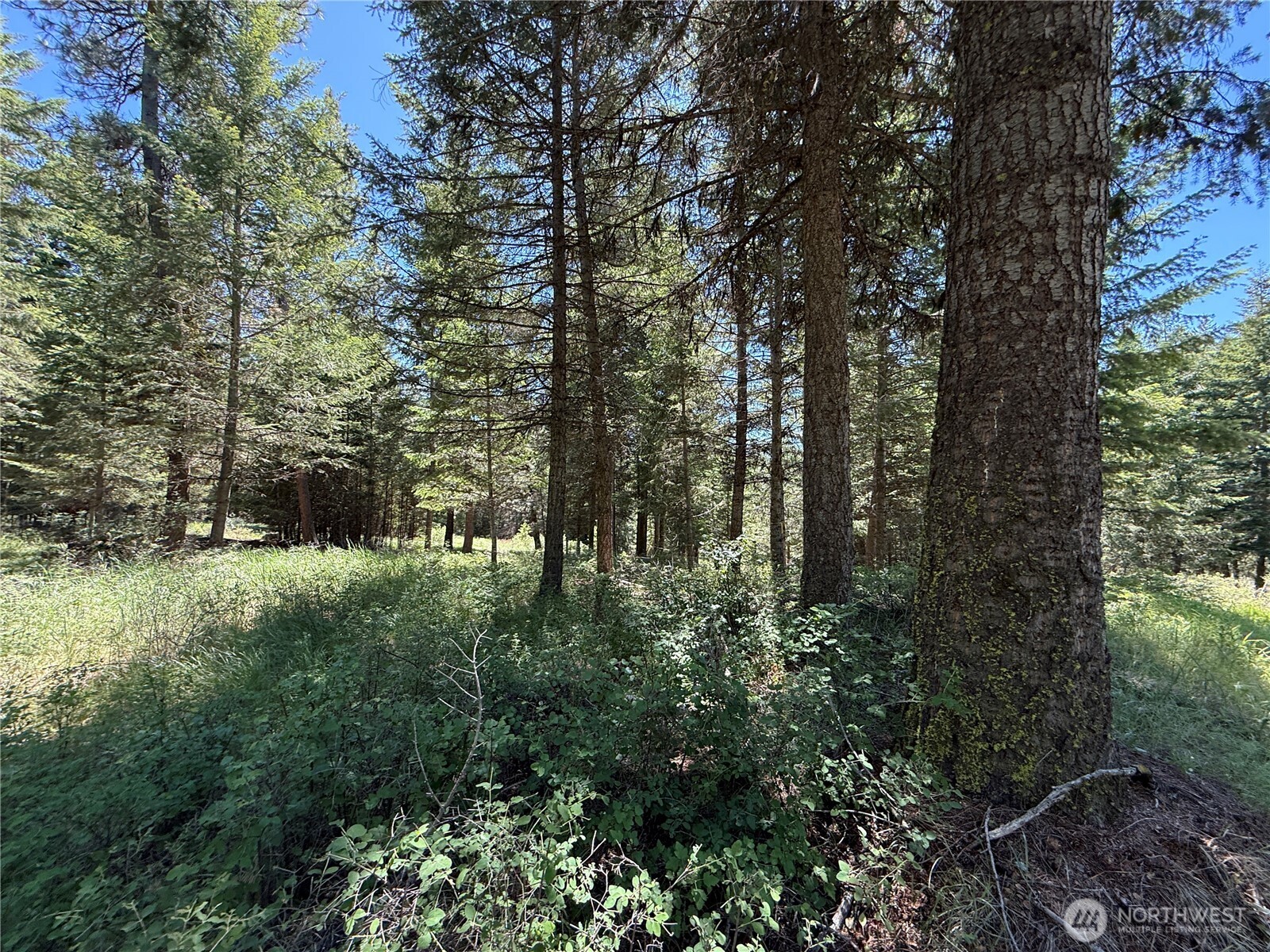 5 Hidden Spring Ranch Road Republic, WA 99166 - Photo 22 of 22