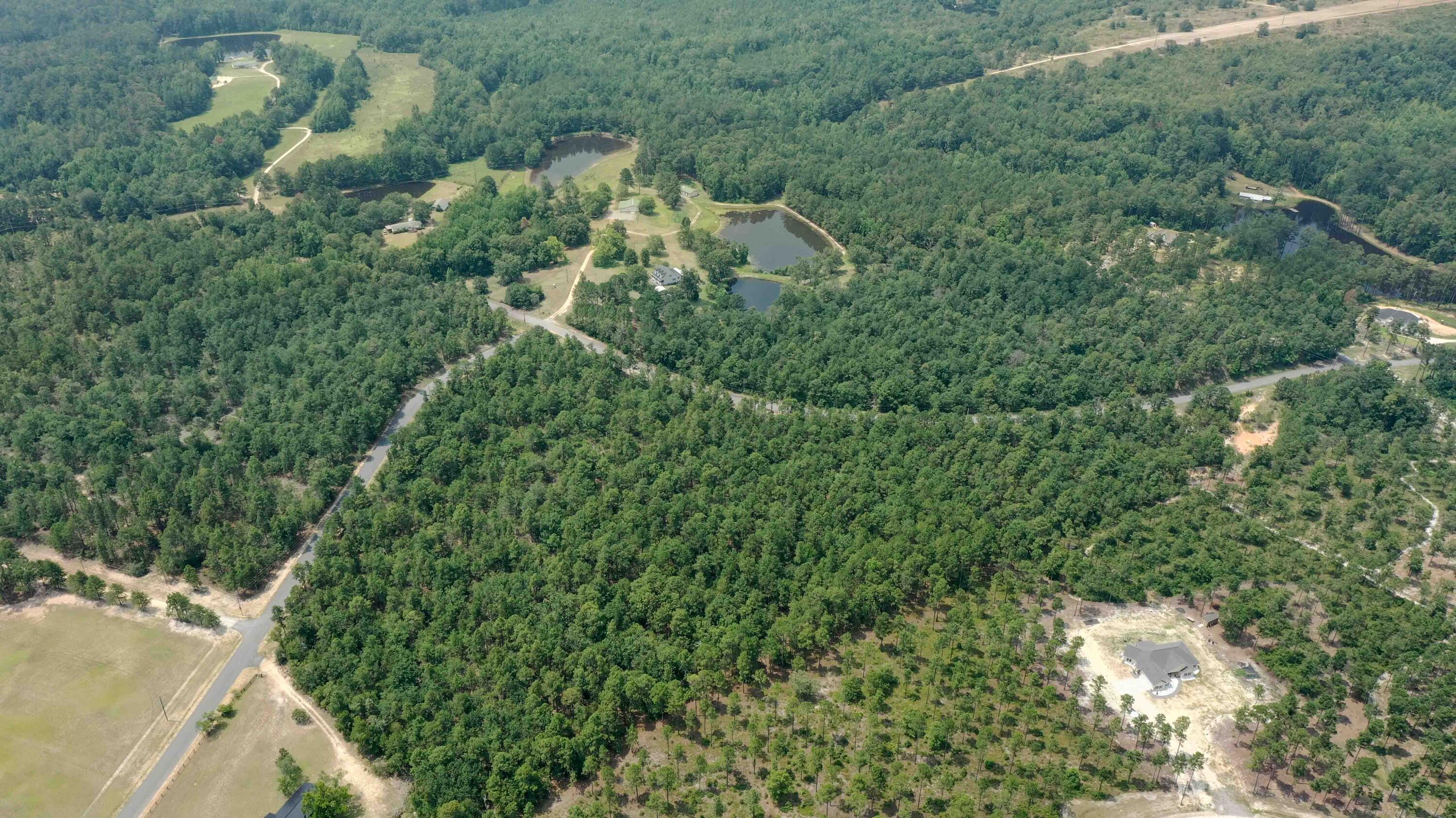 7 Mt Zion Road Williston, SC 29853 - Photo 10 of 15