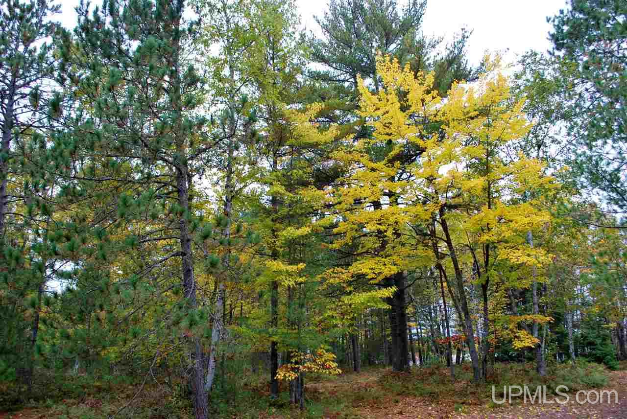Tbd Little Rice Lake Rd (lot 18), Unit 18 Lake Linden, MI 49945 - Photo 11 of 34
