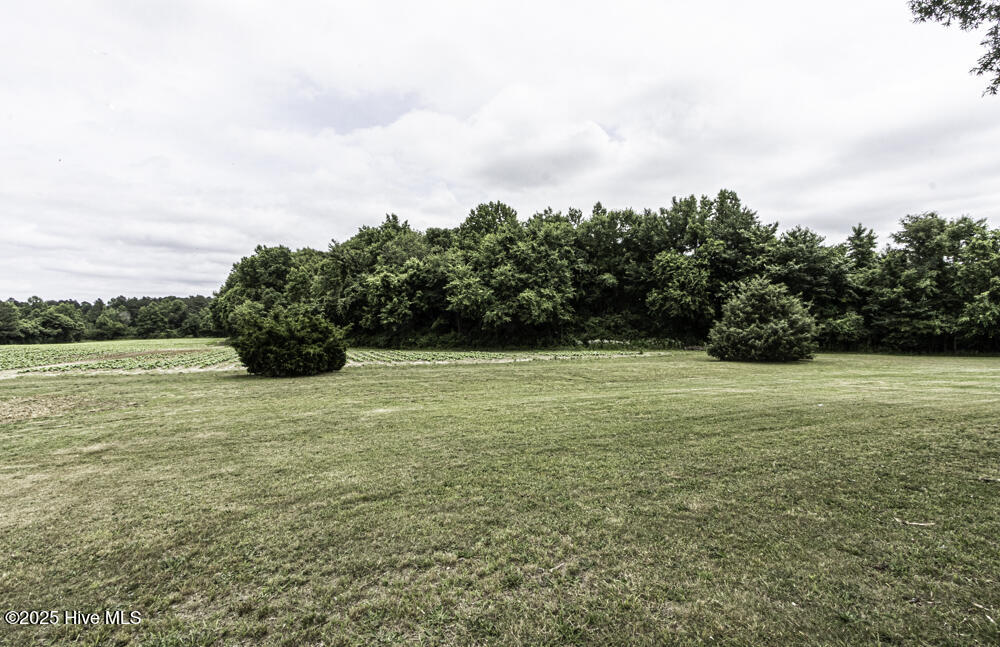 3081 South Browntown Road Rocky Mount, NC 27804 - Photo 14 of 61 0009-IMG_5077