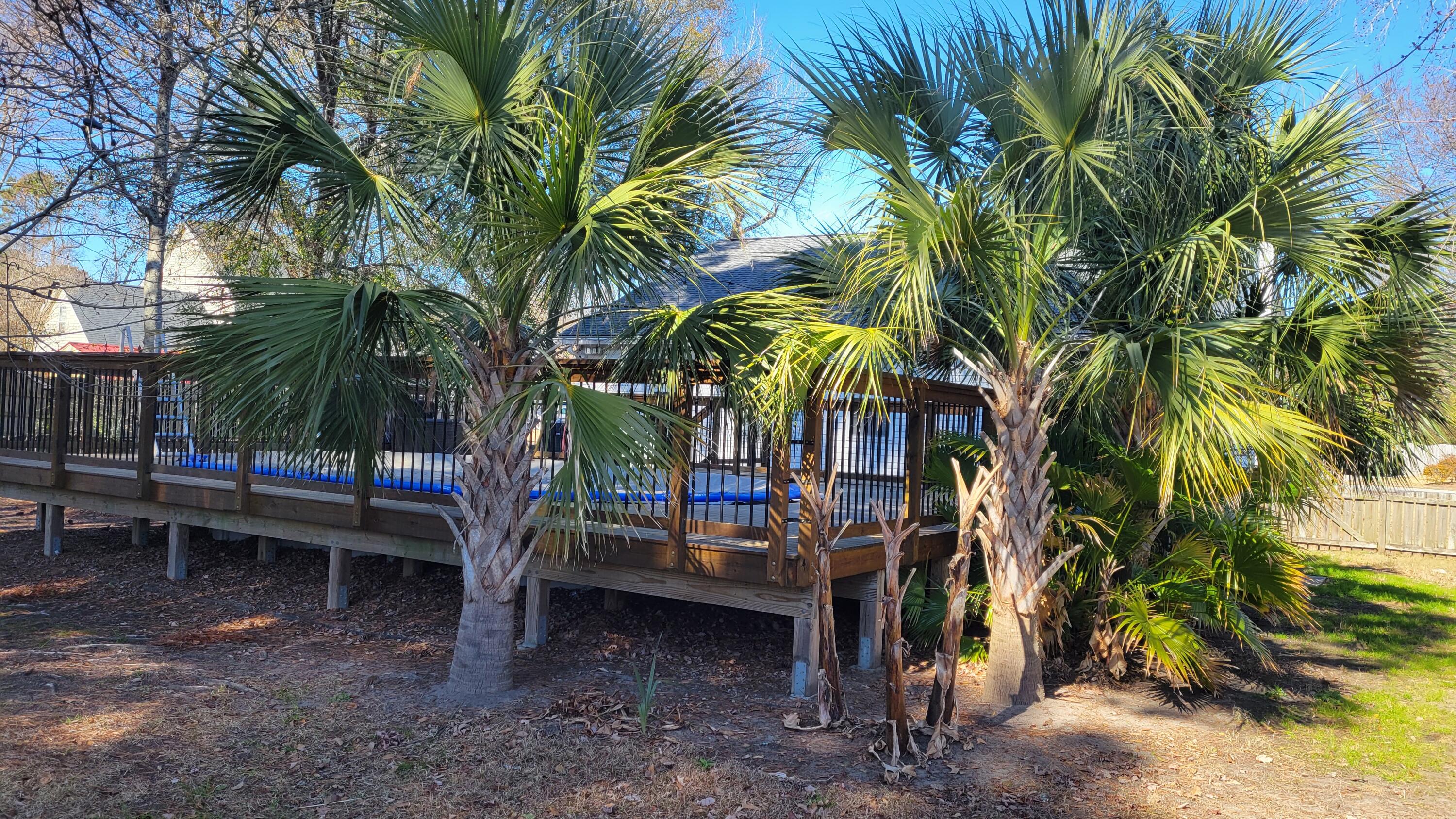 1333 Mapleton Avenue Charleston, SC 29412 - Photo 33 of 40 33Deck1