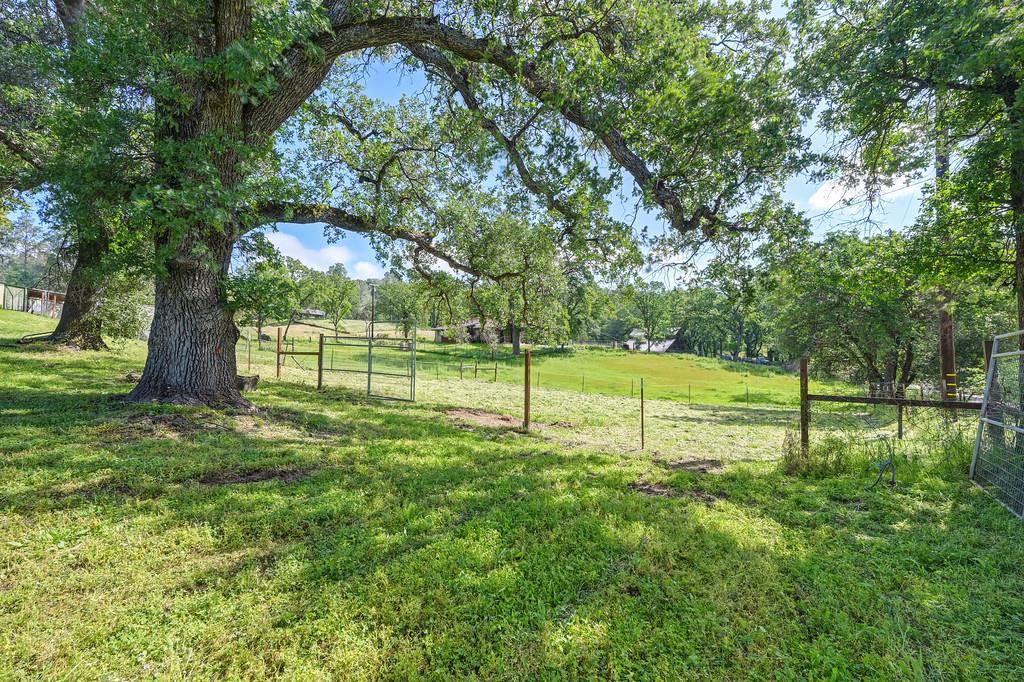 6181 Lambert Lane El Dorado, CA 95623 - Photo 48 of 68 view of yard featuring a gate