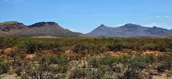 $28,500 | 38.76-acre North Bruno Road, Douglas, AZ 85607