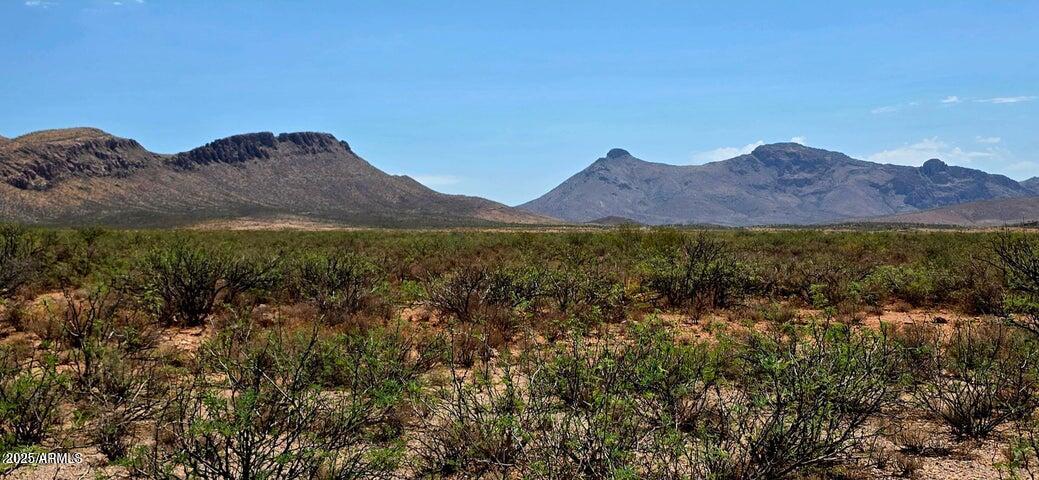 38.76-acre North Bruno Road Douglas, AZ 85607 - Photo 3 of 9 Bruno Road