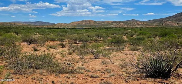 $28,500 | 38.76-acre North Bruno Road, Douglas, AZ 85607