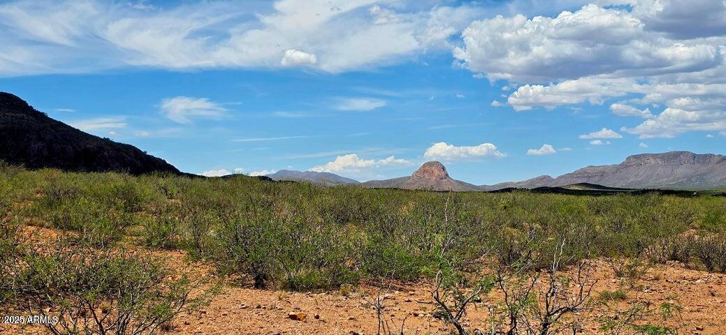38.76-acre North Bruno Road Douglas, AZ 85607 - Photo 7 of 9 Bruno Road