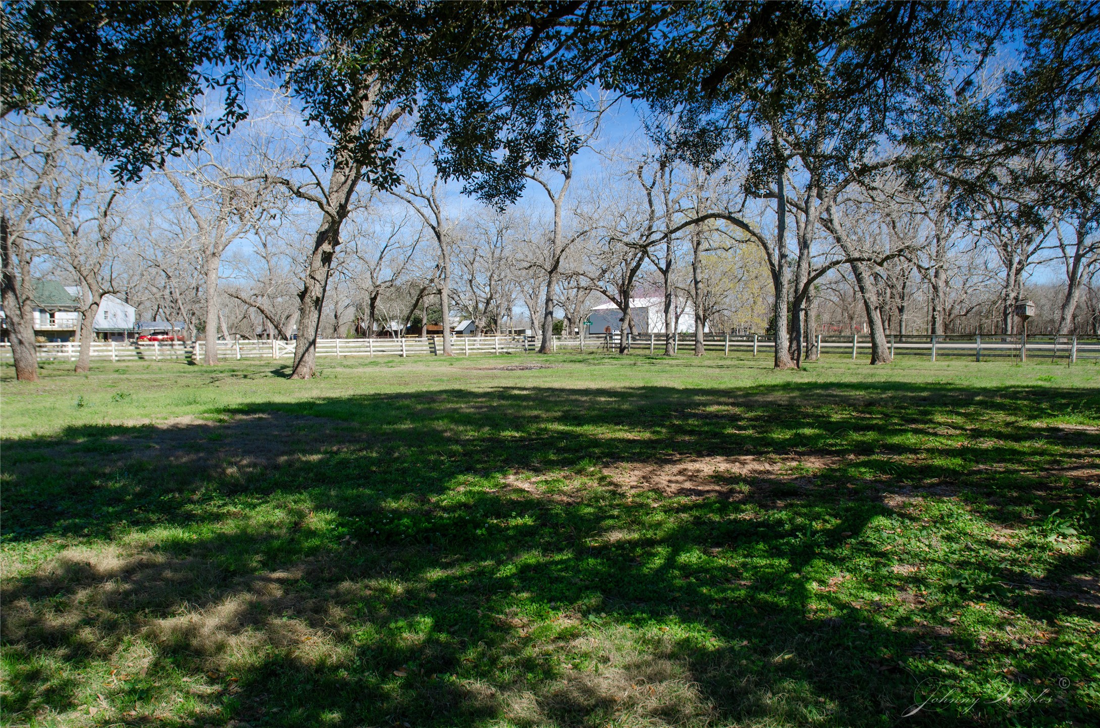 36606 Tejas Road Simonton, TX 77485 - Photo 32 of 32 a view of a park with large trees