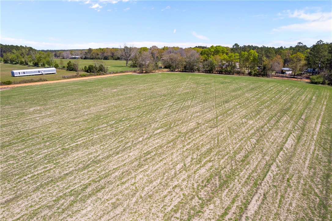 2 Hubert Johns Road Jesup, GA 31545 - Photo 6 of 8