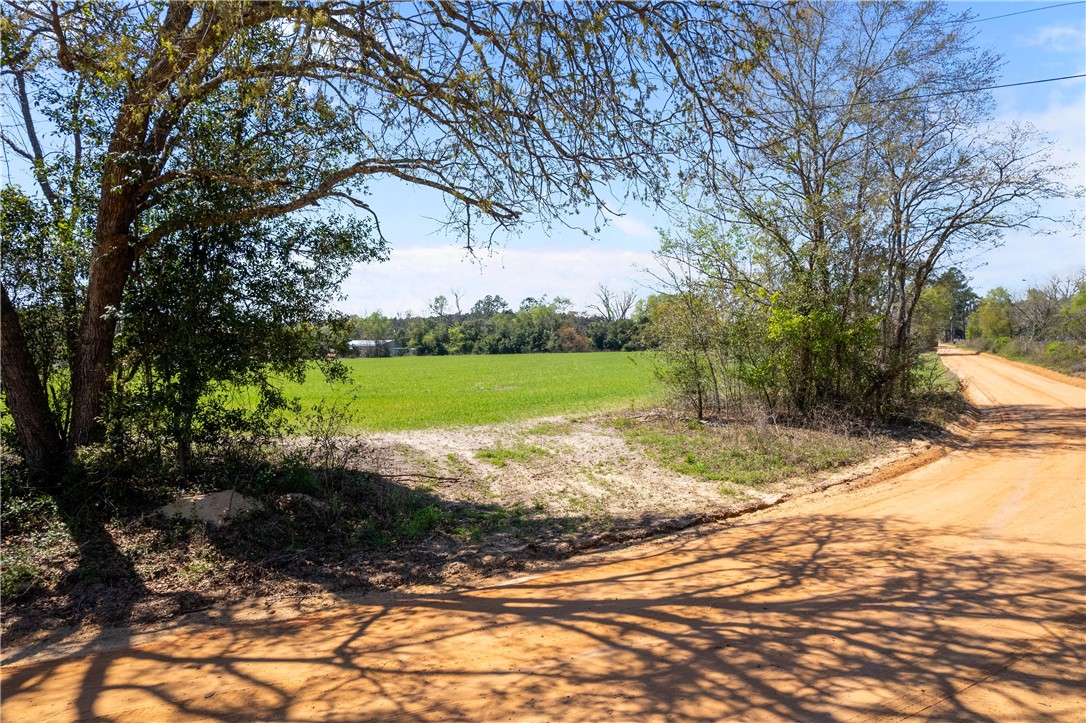 2 Hubert Johns Road Jesup, GA 31545 - Photo 8 of 8