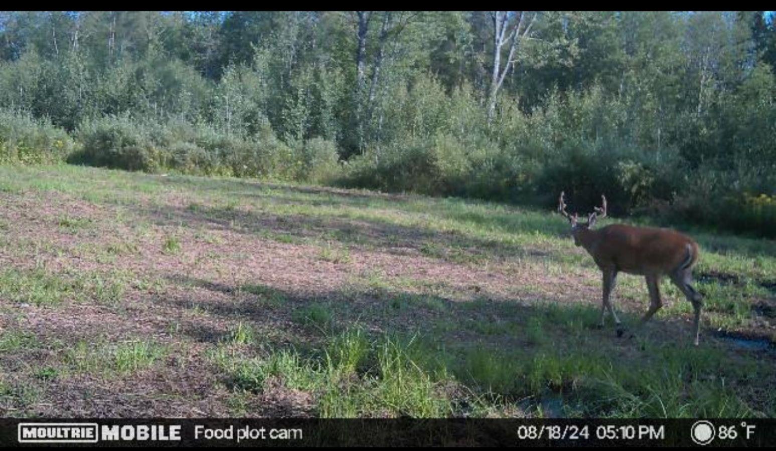 0 Cth H Gleason, WI 54435 - Photo 27 of 27 Gallery Image 27