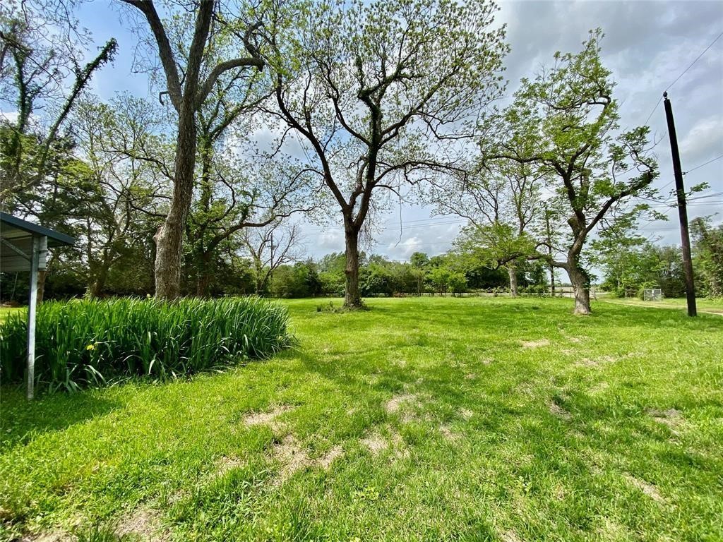 6716 Sjolander Road Baytown, TX 77521 - Photo 23 of 26 This is a spacious, sunlit yard featuring mature trees and lush greenery, offering a serene outdoor space for relaxation and activities.