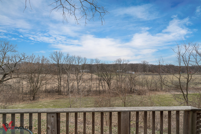 2749 East Brunswick Road Beecher, IL 60401 - Photo 2 of 21
