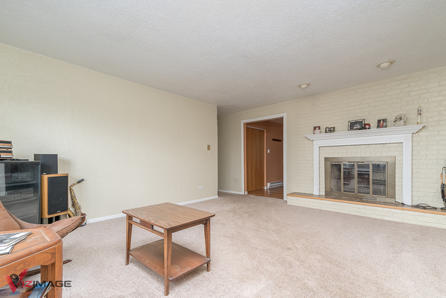 2749 East Brunswick Road Beecher, IL 60401 - Photo 4 of 21