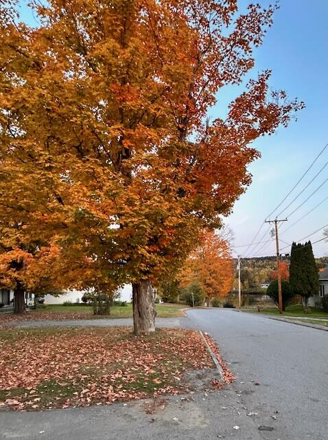 32 High Street Rangeley, ME 04970 - Photo 17 of 19 IMG_4811