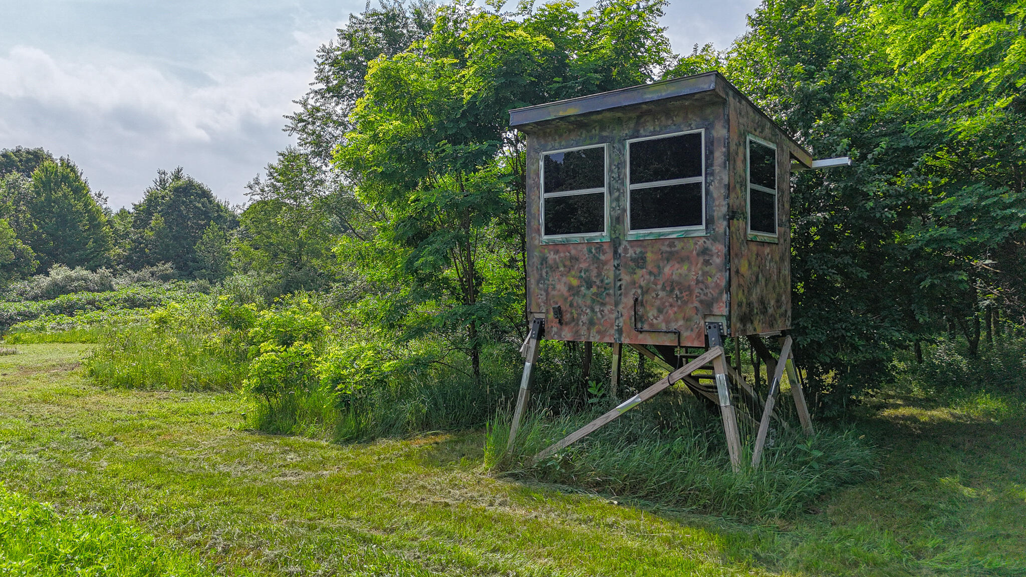 86960 County Road 681 Decatur, MI 49045 - Photo 41 of 47 DEER STAND