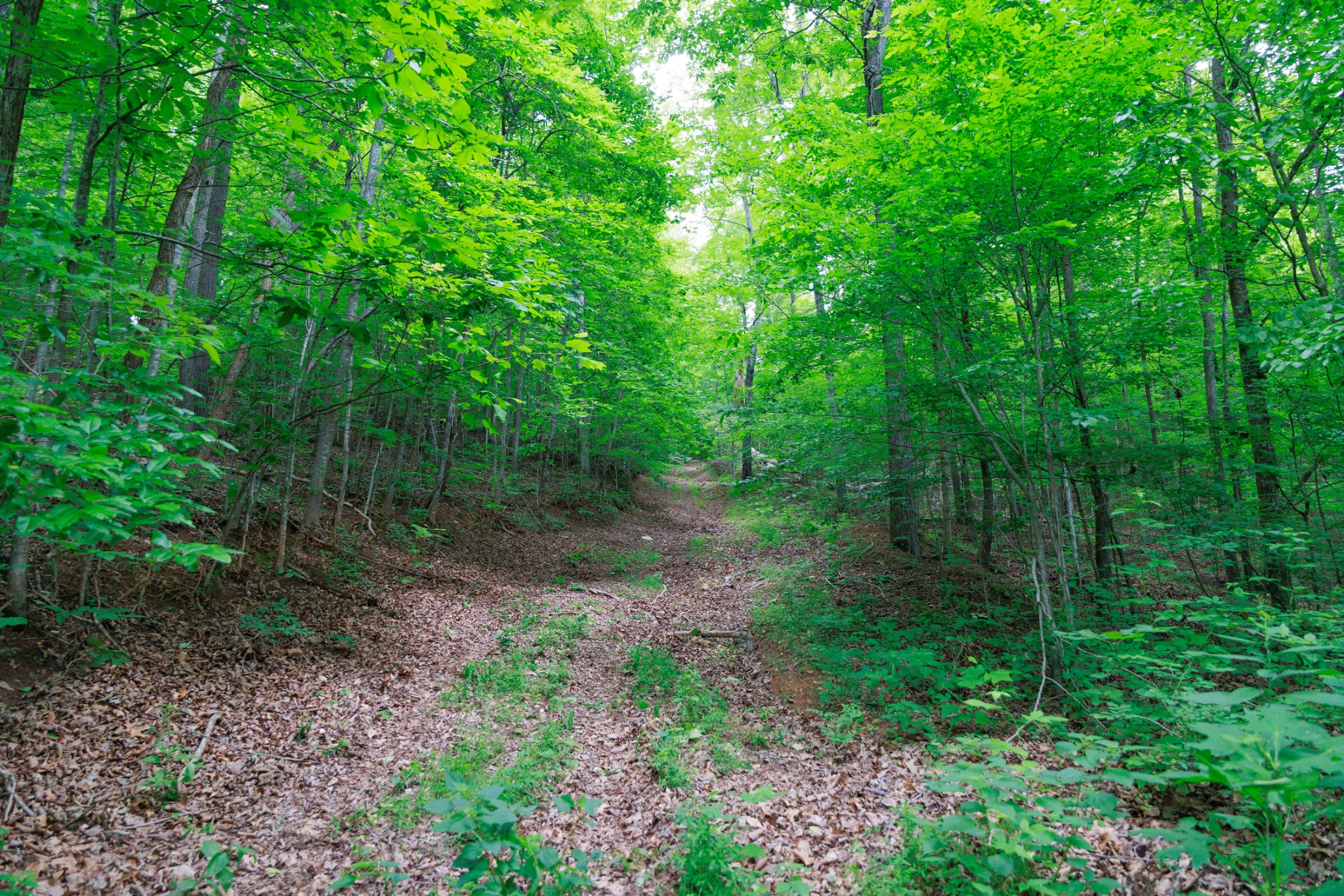 582 Cedar Bend Road Beechgrove, TN 37018 - Photo 13 of 32
