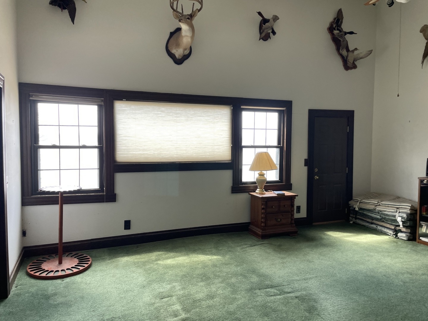 3562 Riverview Lake Road Metropolis, IL 62960 - Photo 6 of 26