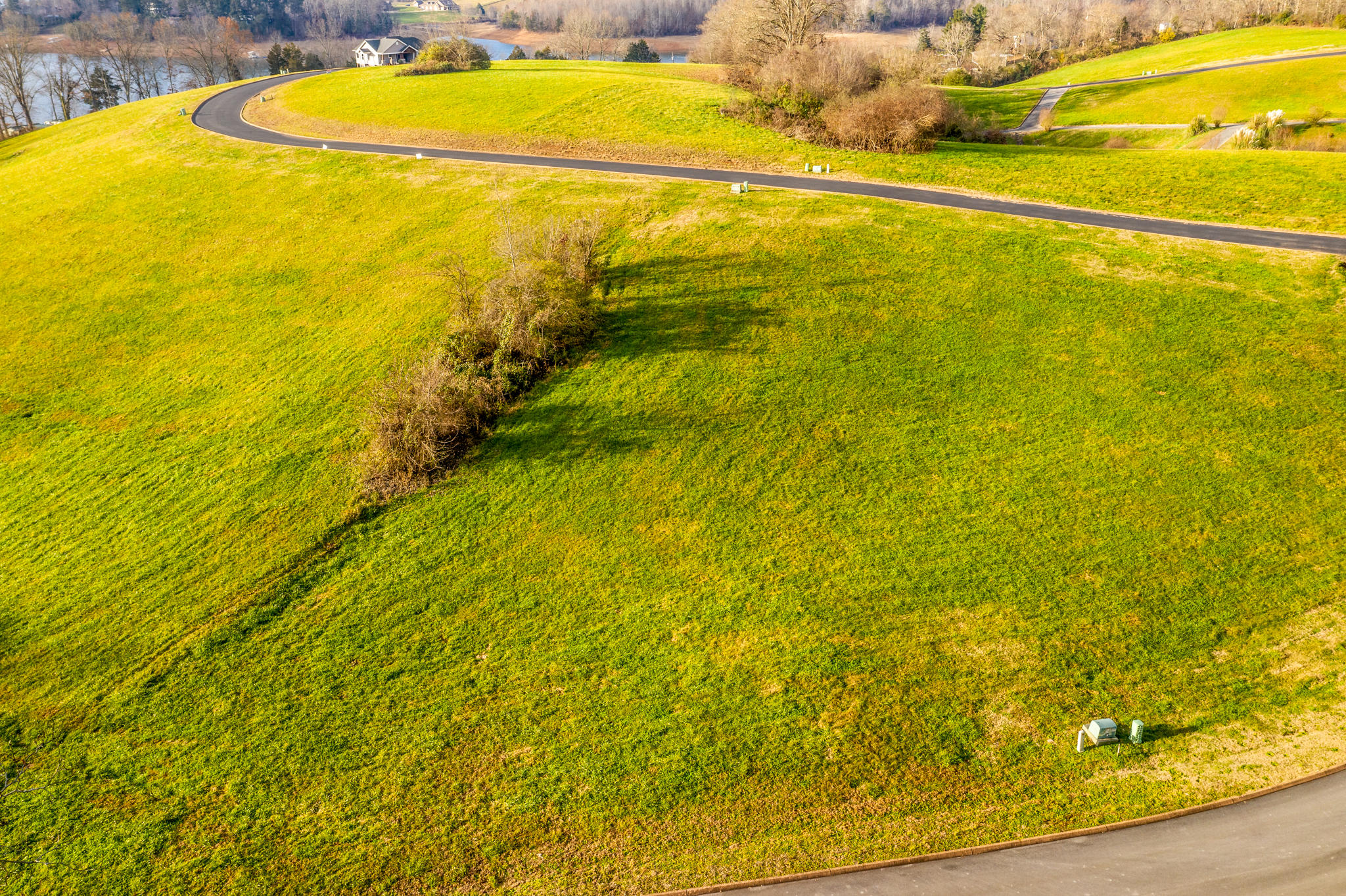 Lot 41 Shiloh Springs Road, Unit 41 Rutledge, TN 37861 - Photo 3 of 16 3