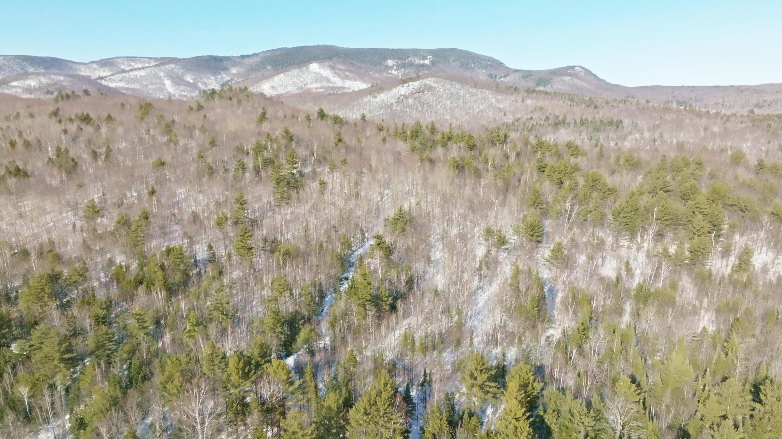 Lot 41 Redding Road Sumner, ME 04292 - Photo 7 of 22 Image_1.7.2