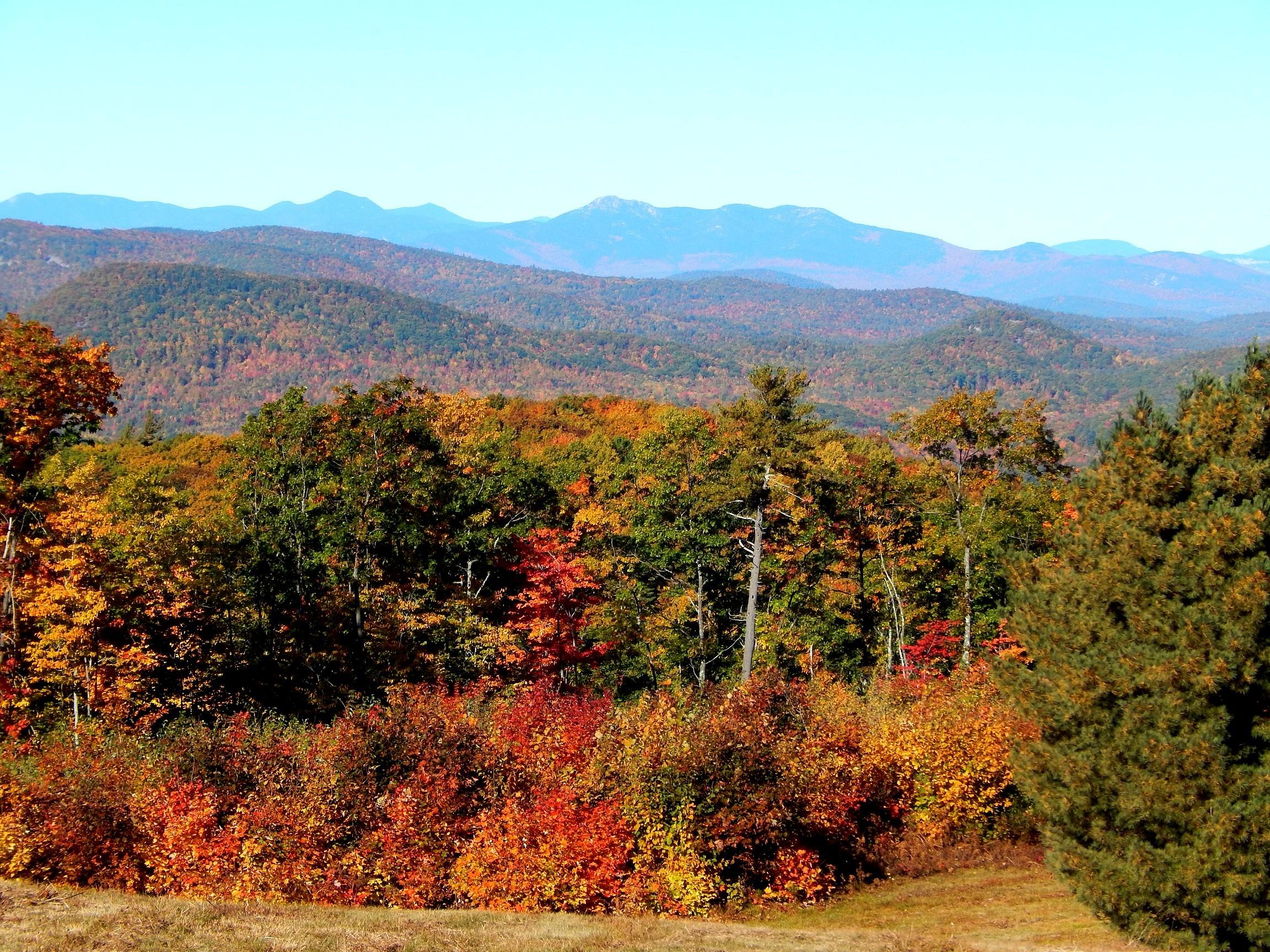 Lot 9-10 Post Ridge Road Hiram, ME 04041 - Photo 7 of 17 6