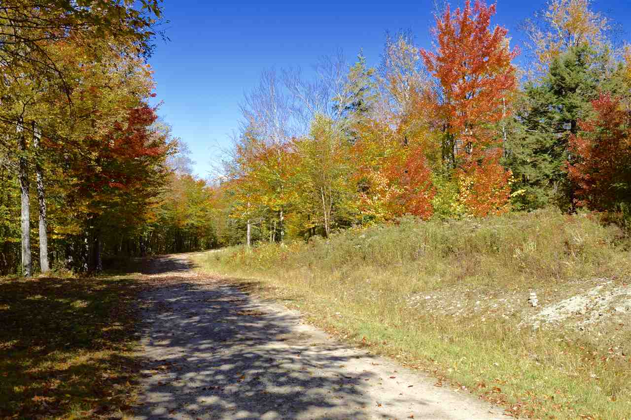 3-4 Coach Road Bristol, NH 03222 - Photo 5 of 10 Gallery Image 5