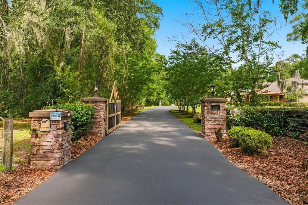 855 Southeast 87th Street Ocala, FL 34480 - Photo 67 of 79 a view of a street with potted plants and large trees