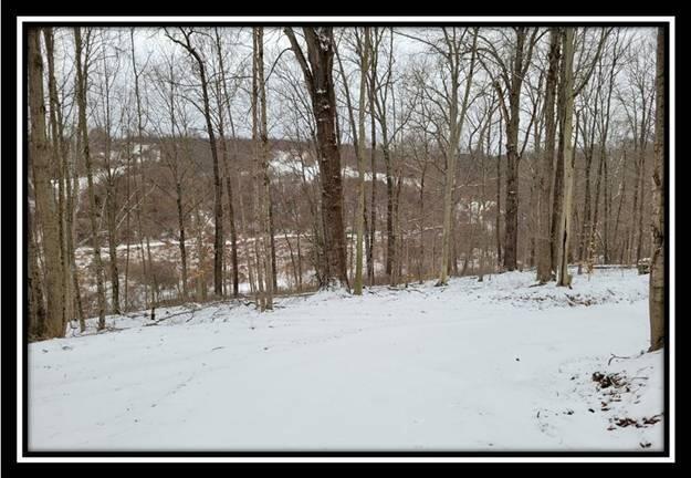 0 Number 12 Hollow Road Wellston, OH 45692 - Photo 13 of 45 image013