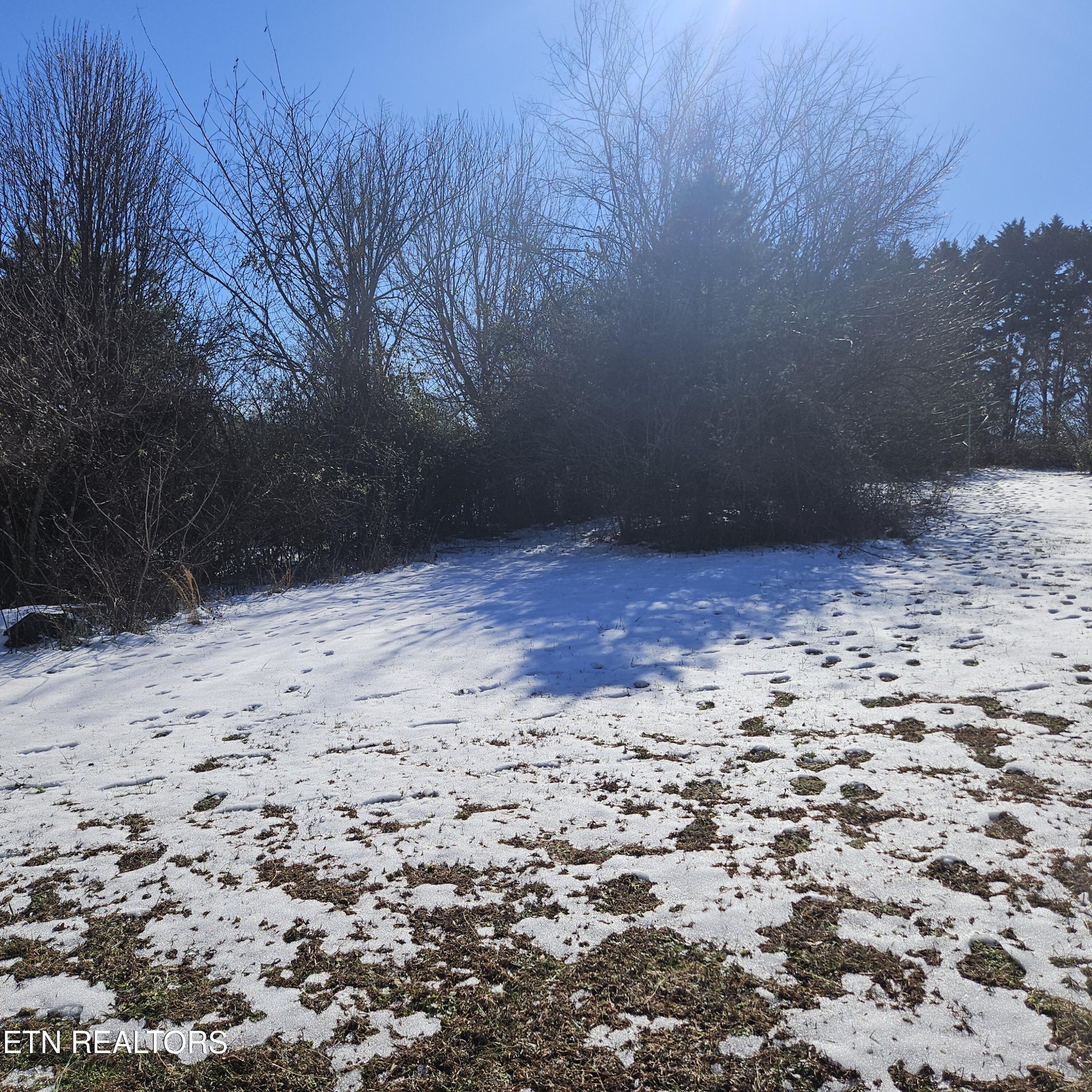 1145 Cloyds Church Road Greenback, TN 37742 - Photo 31 of 37 Gallery Image 31