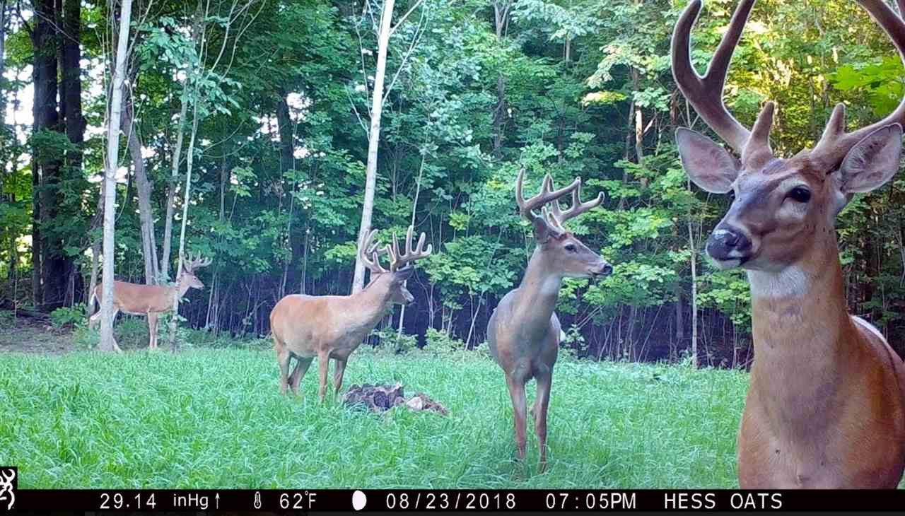 5200 Burt Road Osseo, MI 49266 - Photo 13 of 50 Photo 13