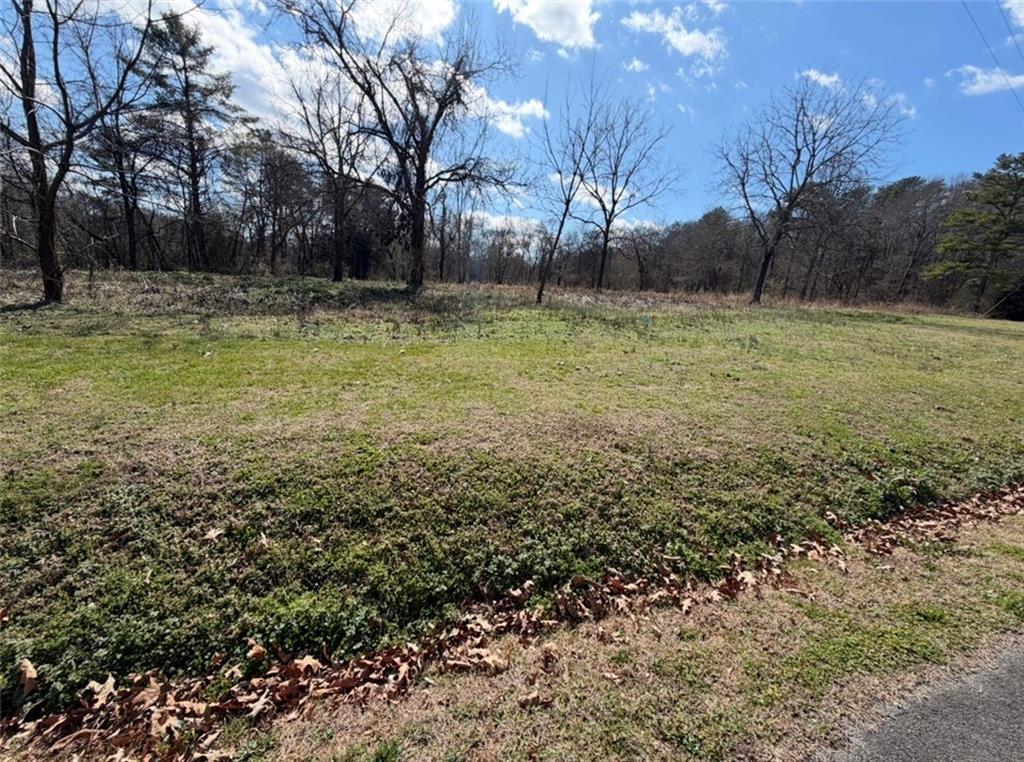 0 Southwest Roland Hayes Parkway Southwest Calhoun, GA 30701 - Photo 2 of 5 a fire hydrant in the middle of a field
