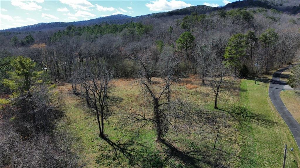 0 Southwest Roland Hayes Parkway Southwest Calhoun, GA 30701 - Photo 4 of 5 a view of a city with lush green forest