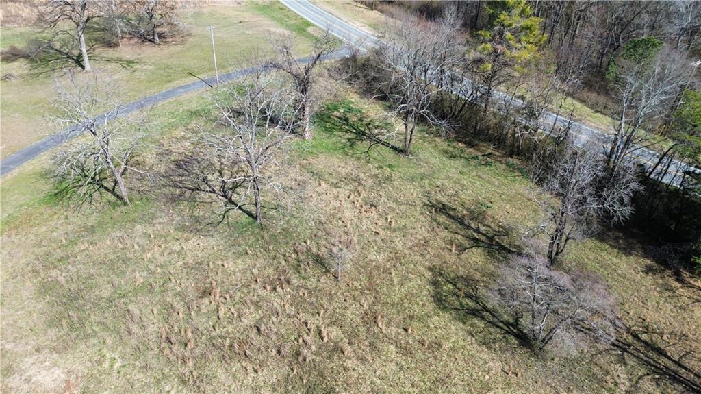 0 Southwest Roland Hayes Parkway Southwest Calhoun, GA 30701 - Photo 5 of 5 a view of a forest with a tree