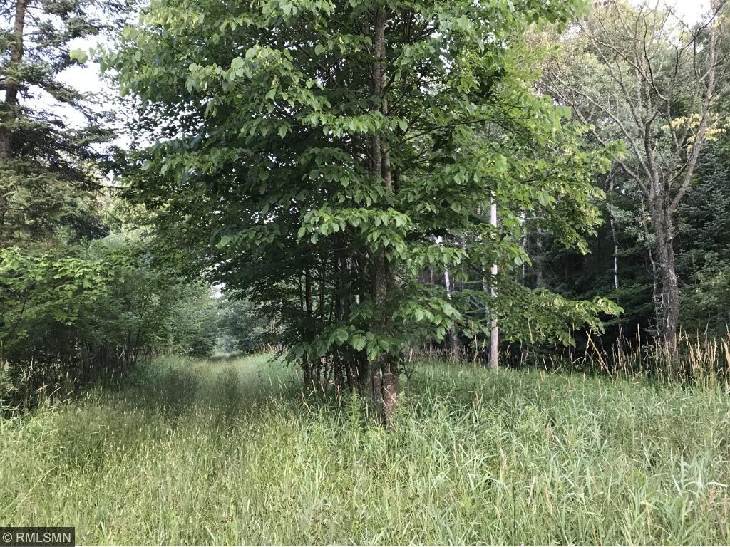 Xxx Xxx Oestretch Road Wright, MN 55798 - Photo 1 of 1 Gallery Image 1