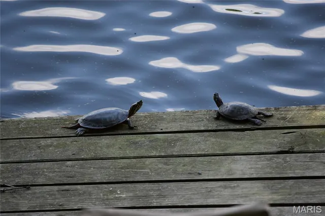 $325,000 | 66 Lake Lawrence Lane, Troy, MO 63379