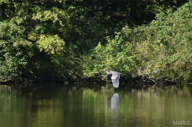 $325,000 | 66 Lake Lawrence Lane, Troy, MO 63379