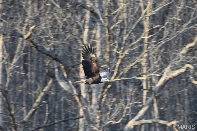 $325,000 | 66 Lake Lawrence Lane, Troy, MO 63379