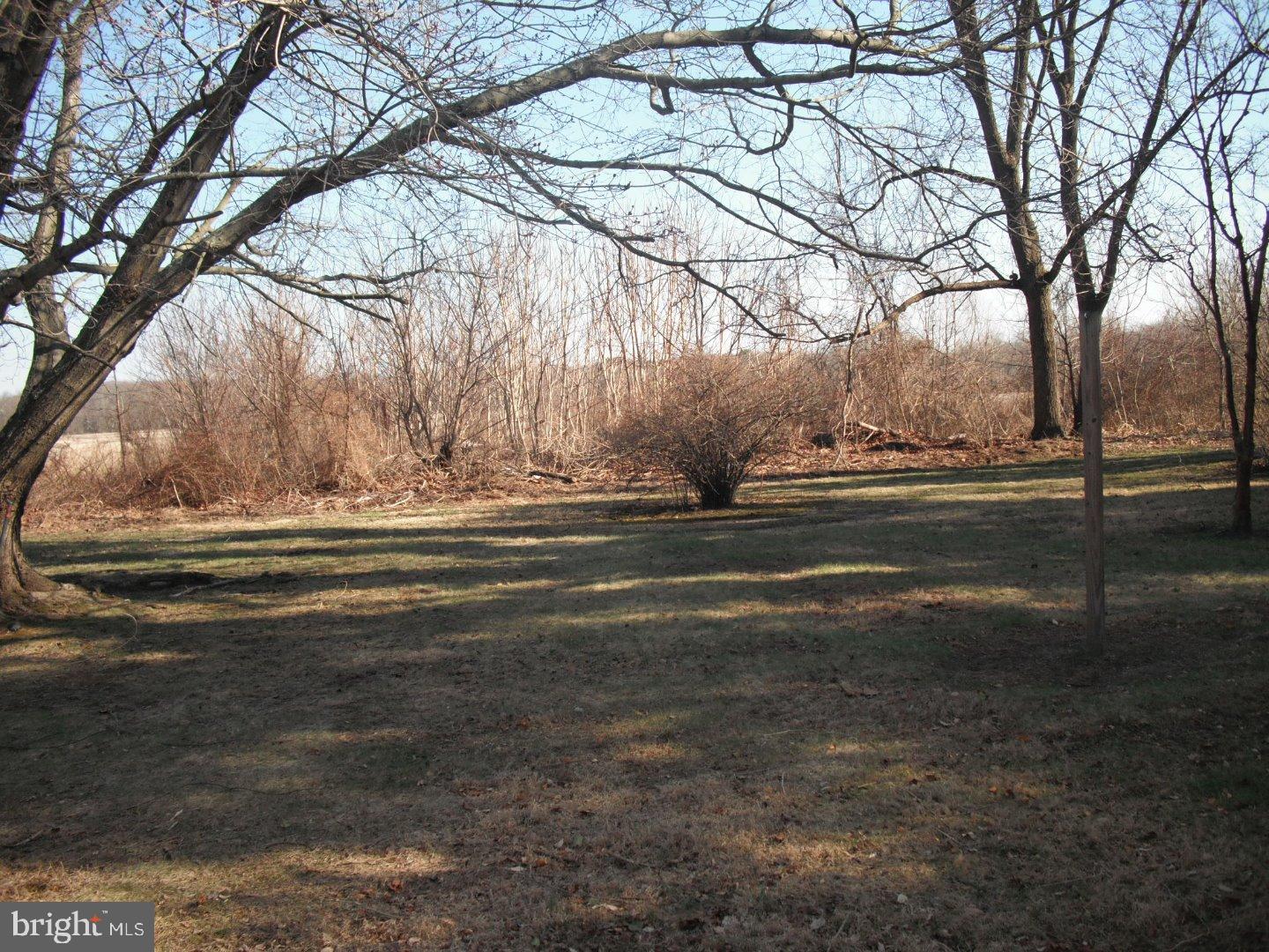 51 Burrs Mill Road Pemberton, NJ 08068 - Photo 3 of 19
