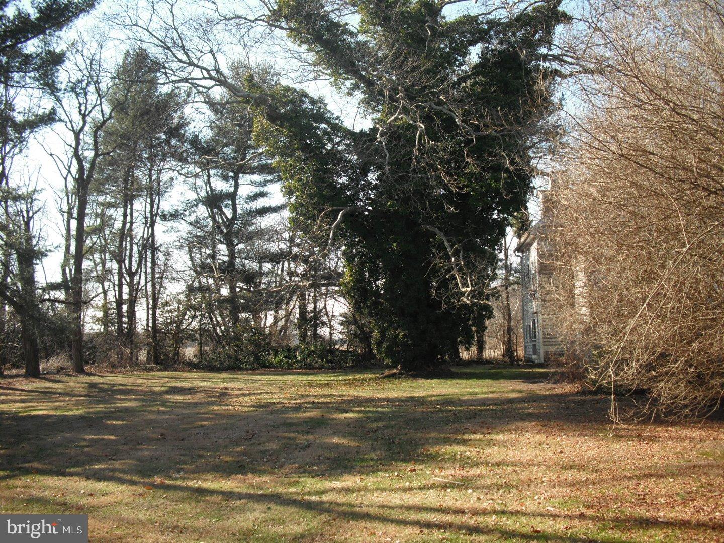 51 Burrs Mill Road Pemberton, NJ 08068 - Photo 5 of 19