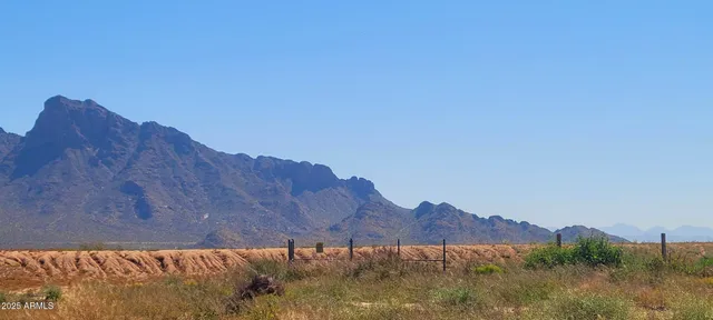 a view of a big yard