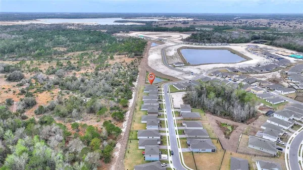 a view of a dry yard with wooden fence and trees