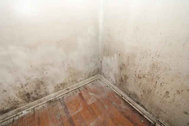 $105,000 | 39 Warren Street, Calumet City, IL 60409